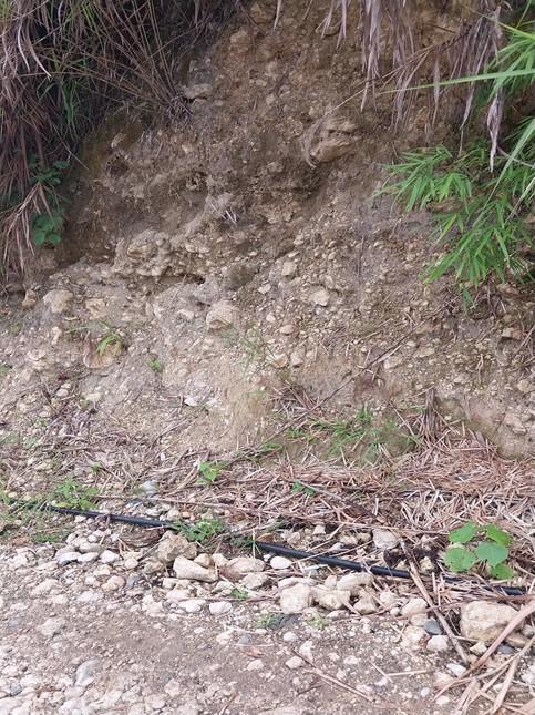 Photograph 2: Conglomerate outcrop